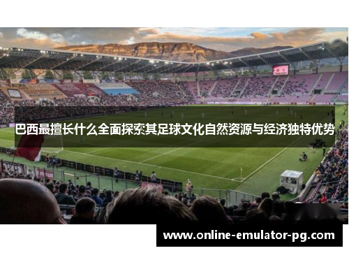 巴西最擅长什么全面探索其足球文化自然资源与经济独特优势