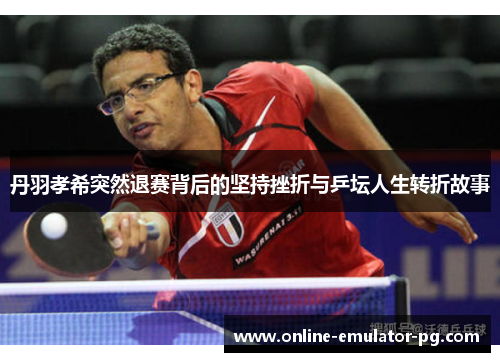 丹羽孝希突然退赛背后的坚持挫折与乒坛人生转折故事