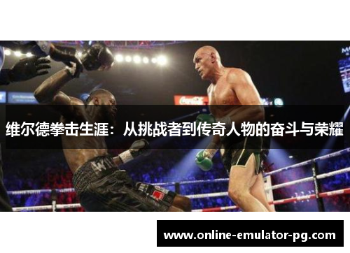 维尔德拳击生涯：从挑战者到传奇人物的奋斗与荣耀