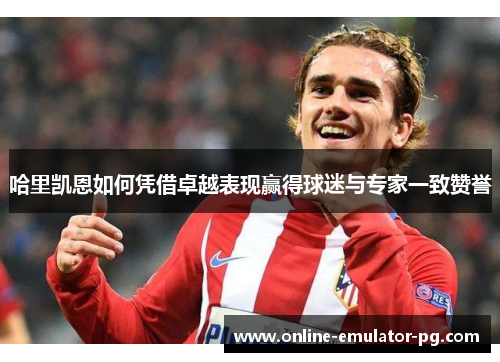 哈里凯恩如何凭借卓越表现赢得球迷与专家一致赞誉
